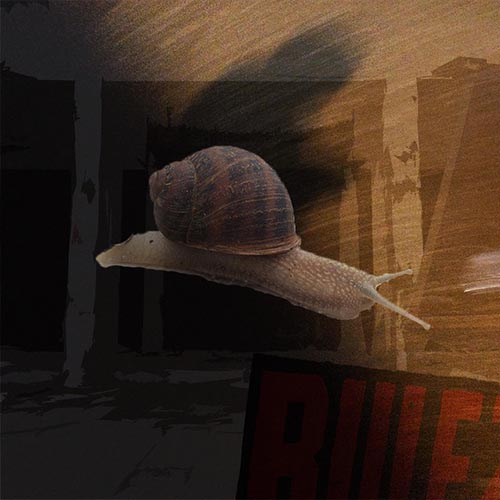 It's Safe to Just Let Go