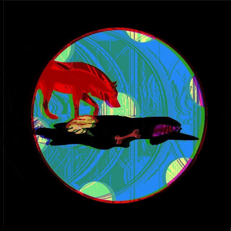 Sümeyye's Leftovers